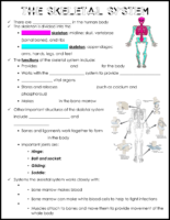 Skeletal System Notes Sheet