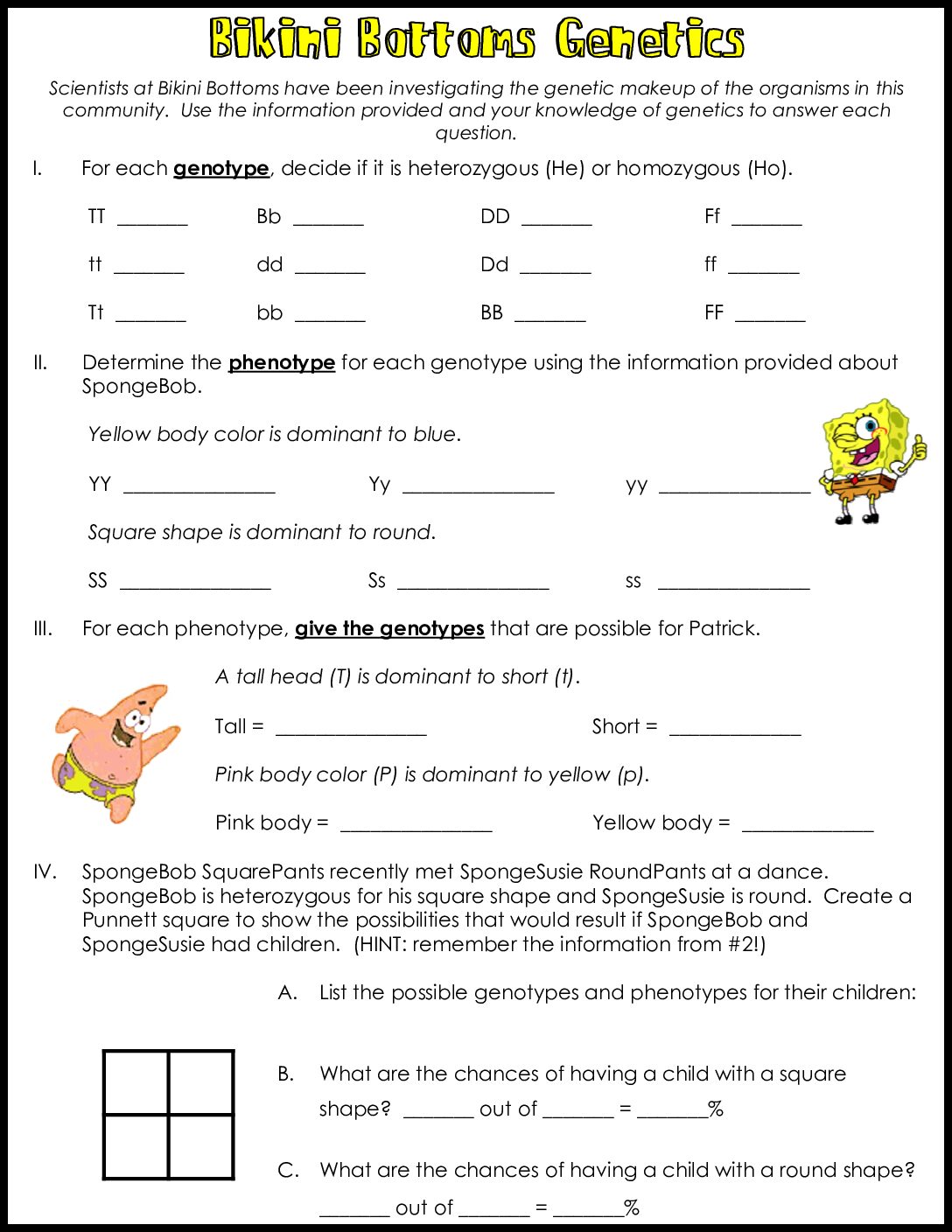 SpongeBob Genetics