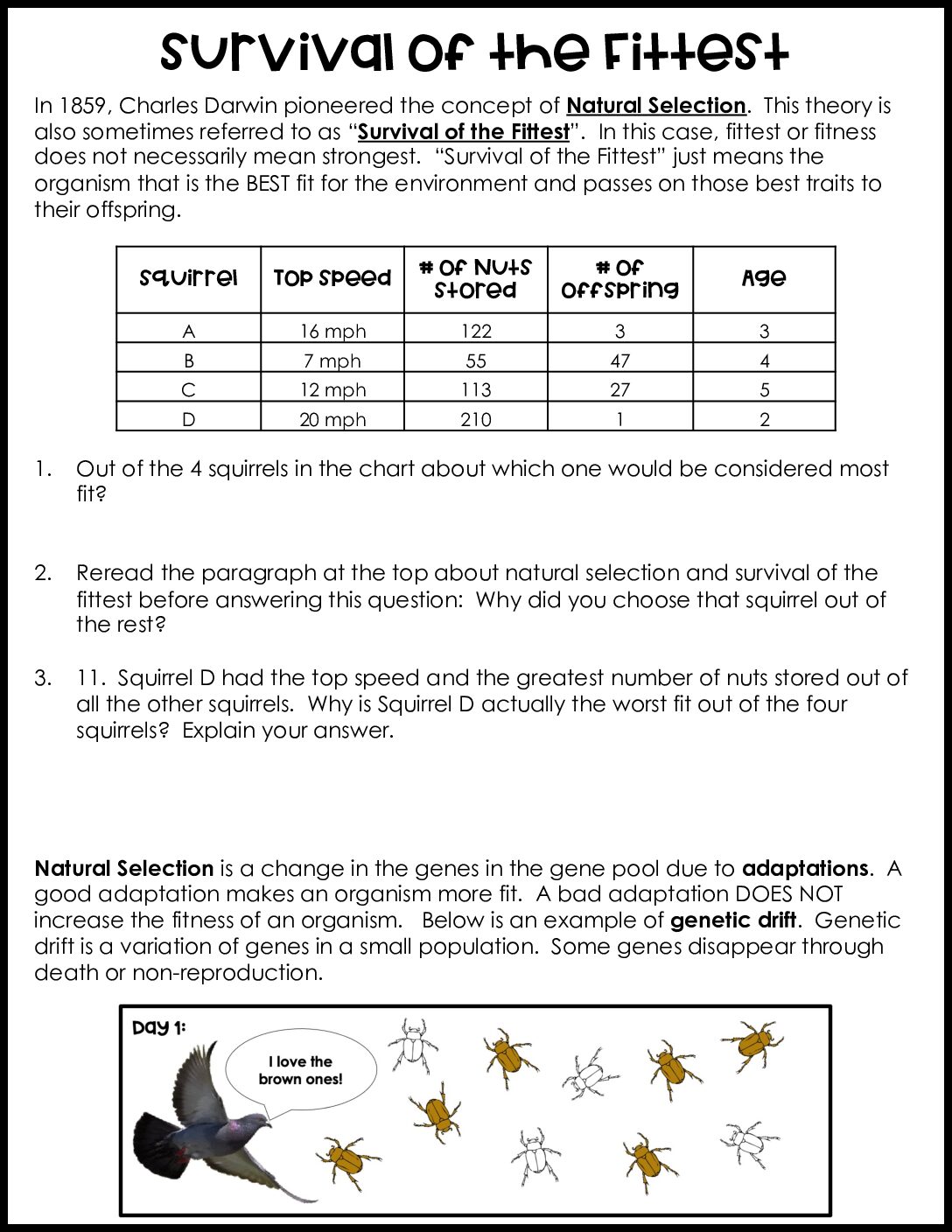 Survival of the Fittest Practice Worksheet