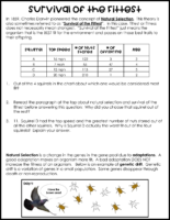 Survival of the Fittest Practice Worksheet