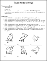 Taxonomic Keys