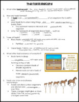 The Fossil Record Notes Key