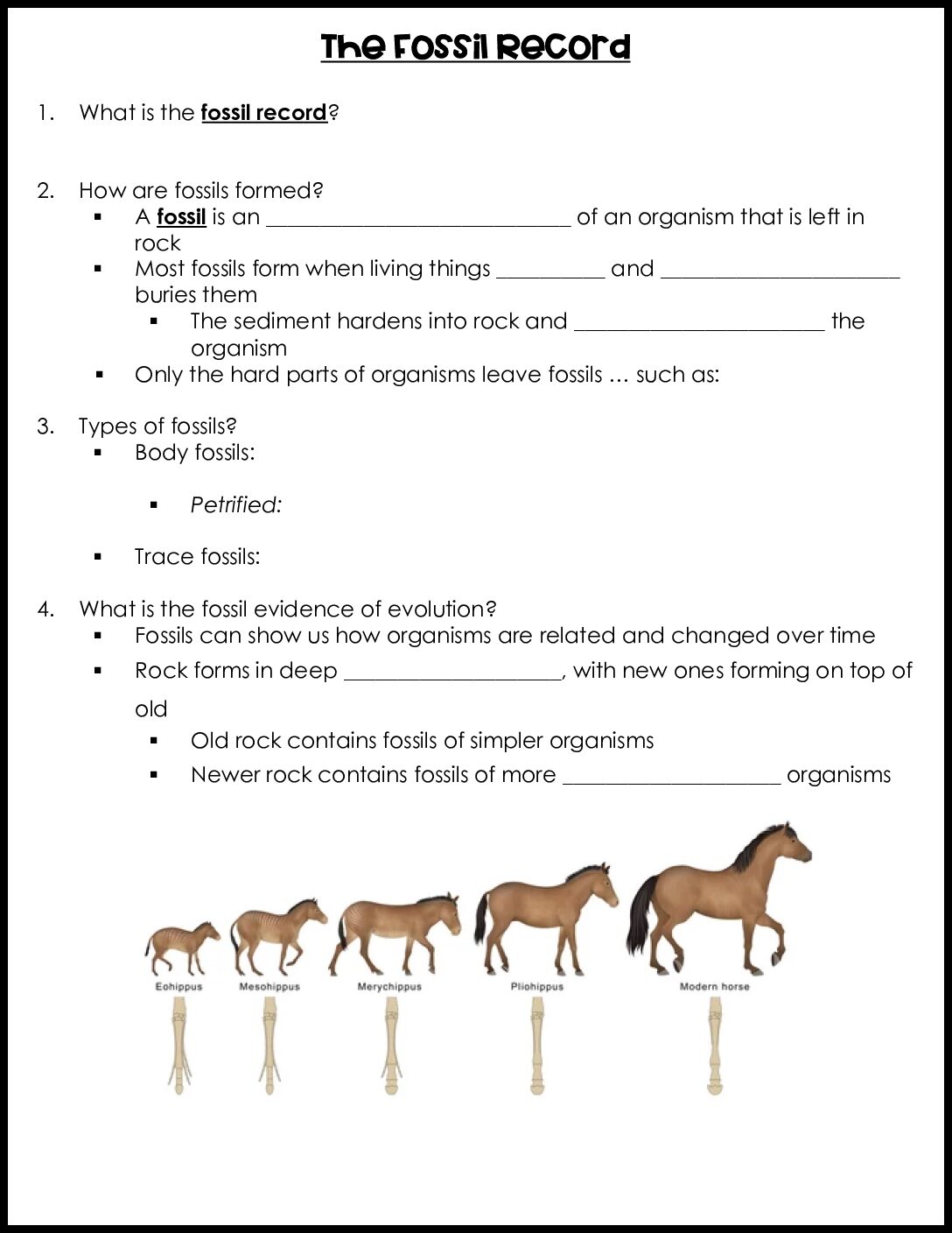 The Fossil Record