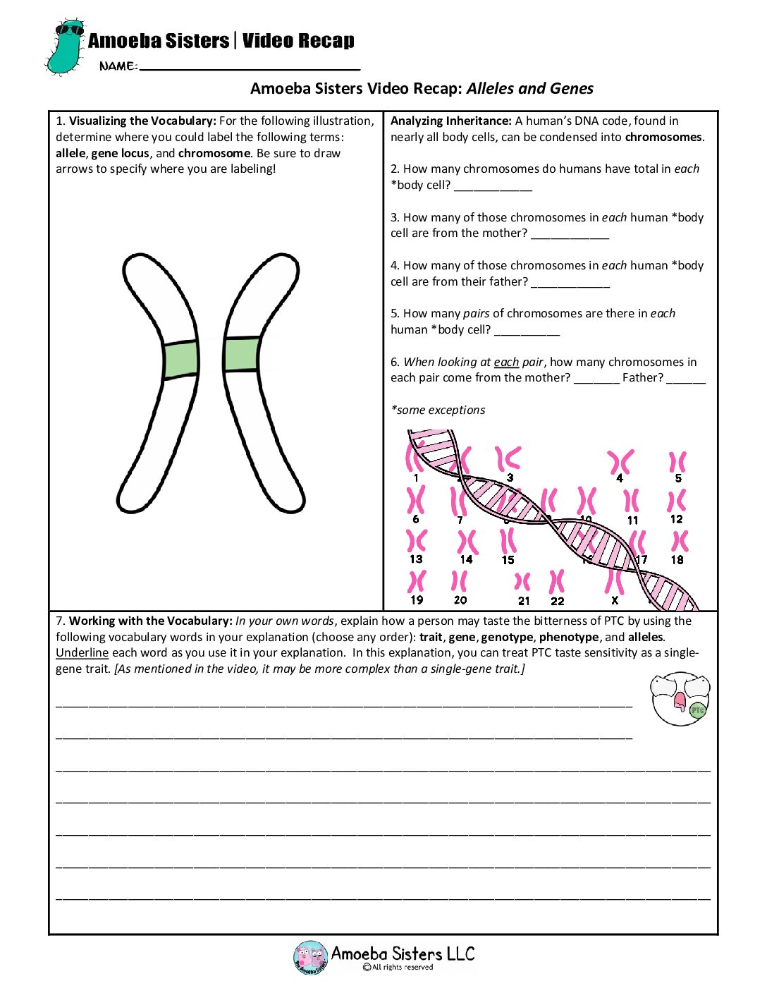 Video Recap Of Alleles And Genes By Amoeba Sisters