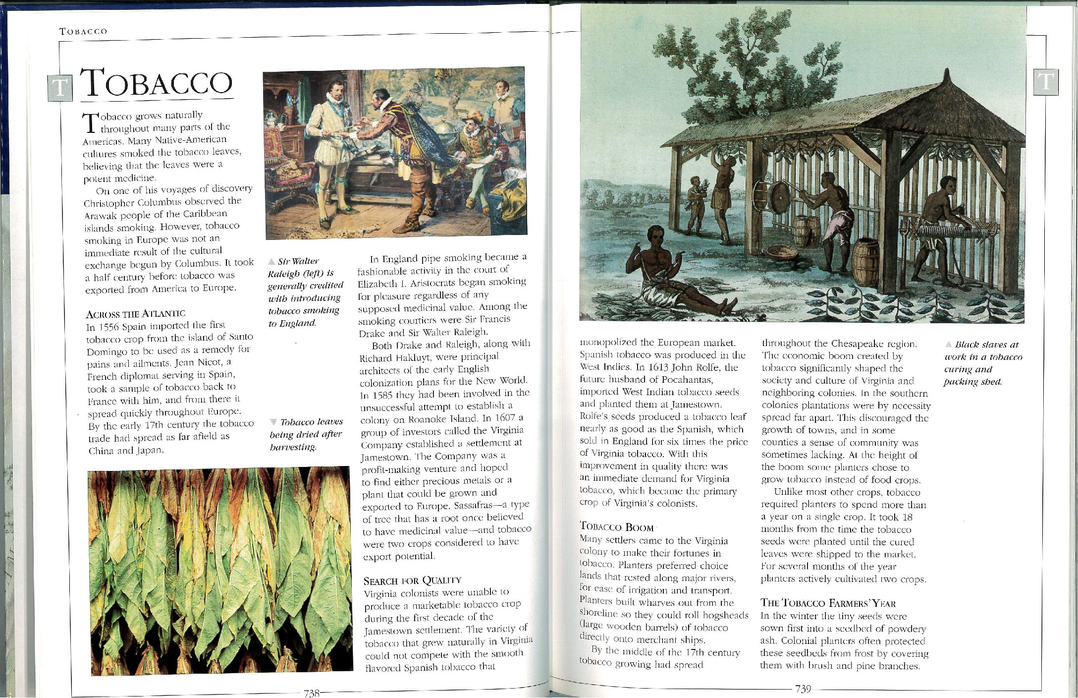 1. Tobacco