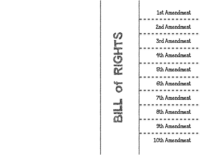 Day 7 Bill Of Rights Foldable