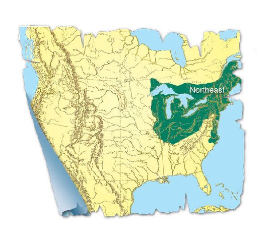 Northest