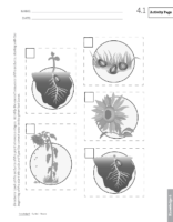 G2 D6 Ab Ap 4.1 Page201