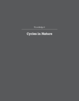 Grade2 Domain6 Full Grade2 Domain6 Full