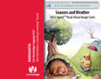 K Domain 8 Seasons And Weather Image Cards