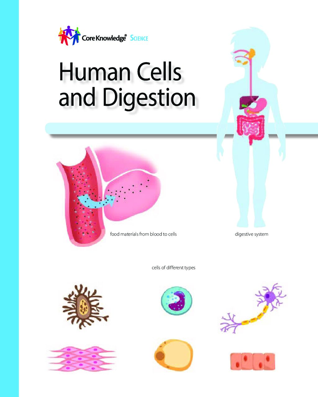 Cksci G2U5 Human Cells And Digestion Sr