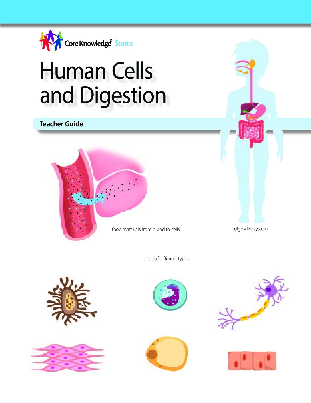 Cksci G2U5 Human Cells And Digestion Tg