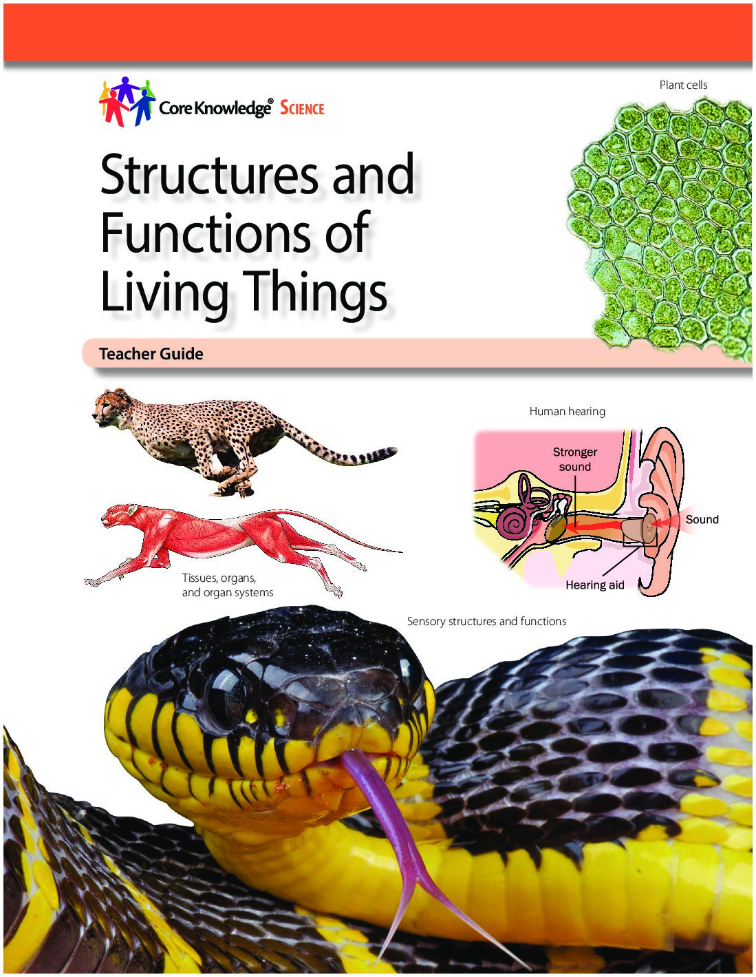 Cksci G4 U3 Structure And Function Tg