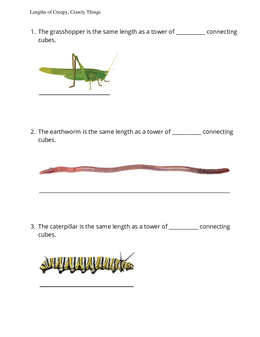 Grade1.6.B5.1 Lengths Of Creepy Crawly Things Lengths Of Creepy Crawly Things