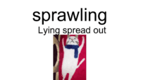 Chapter 11