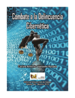 Combate A La Delıncuencıa CıbernéTıca -Informatica Forense