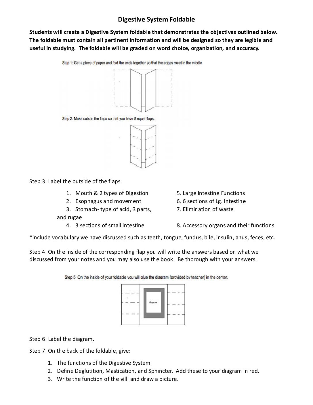 Digestive System Foldable Instructions