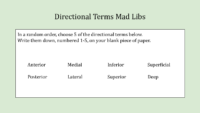 Directional Terms Mad Libs