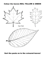 Directions Leaf Pasta Sort