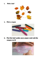 Directions Leaf Rubbing