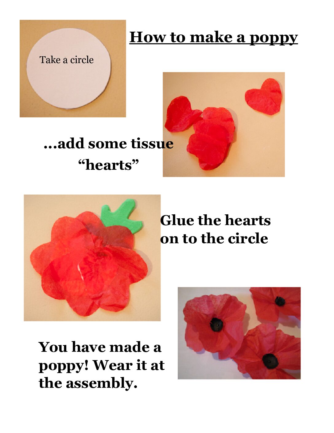 Directions Poppy