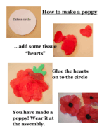 Directions Poppy