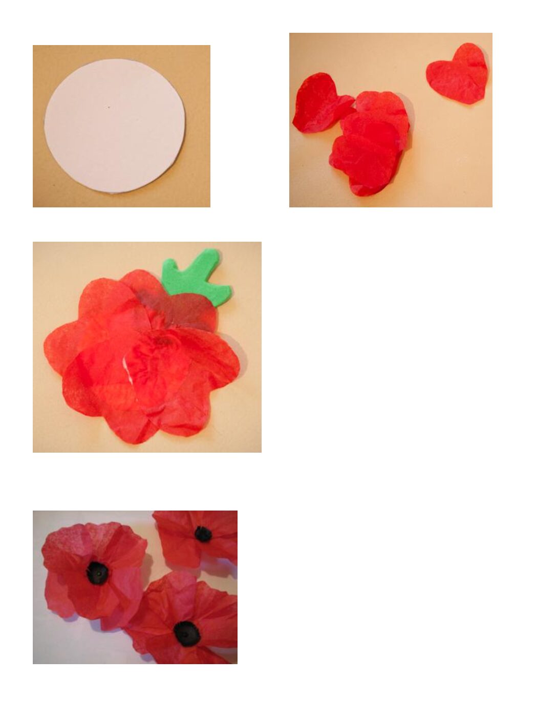Directions Tissue Poppy