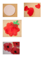 Directions Tissue Poppy