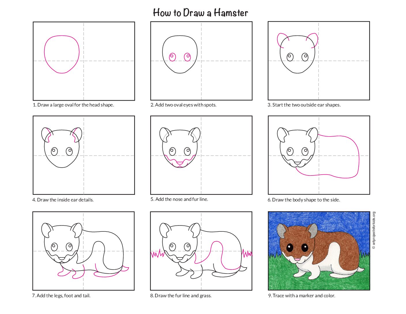 Draw A Hamster
