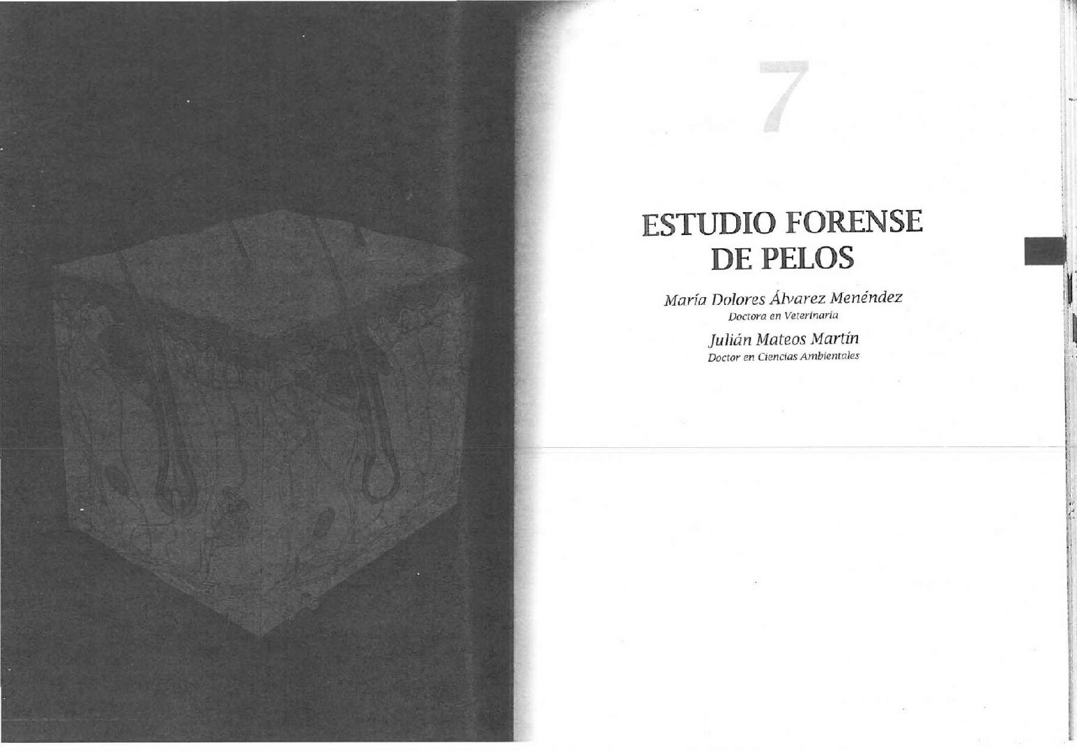 Estudio Forense De Pelos – Ma. Dolores Alvares Menendez, Julian Mateos Martin – Libro-Biologia Forense