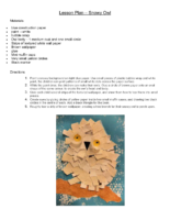 Lesson Plan Snowy Owl