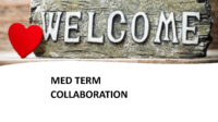Med Term Collab