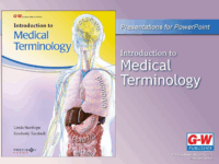 Nervous System Ppt