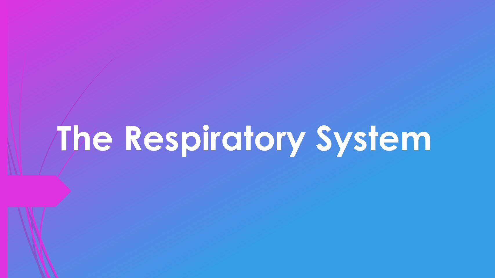 Respiratory