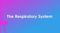 Respiratory