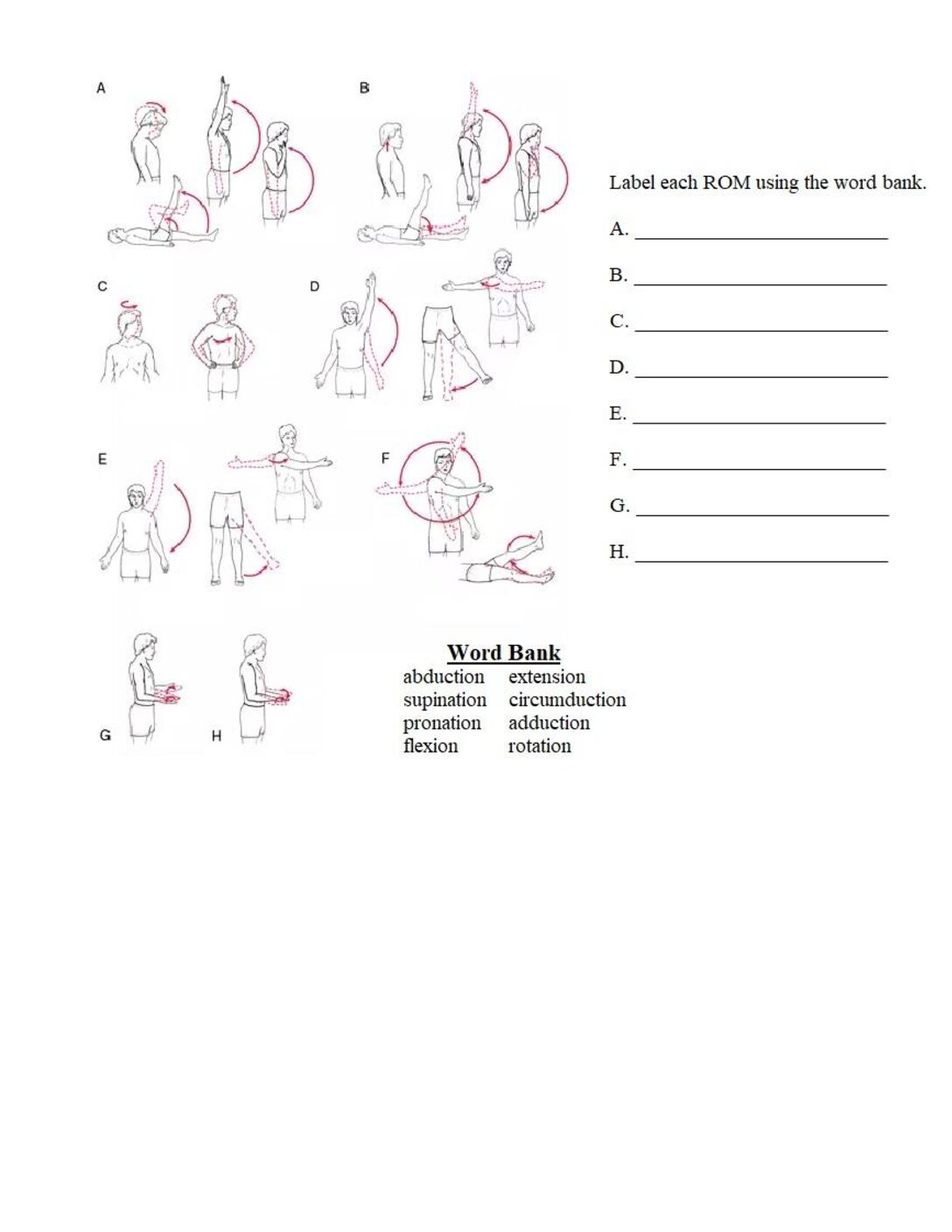 Rom Labeling Activity