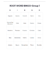 Root Word Bingo Group