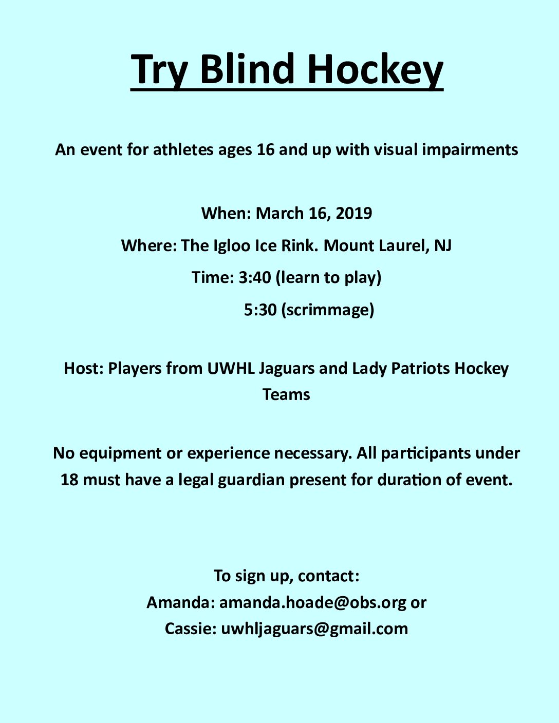 Try Blind Hockey Flyer