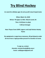 Try Blind Hockey Flyer