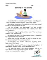 Beware Of The Swans
