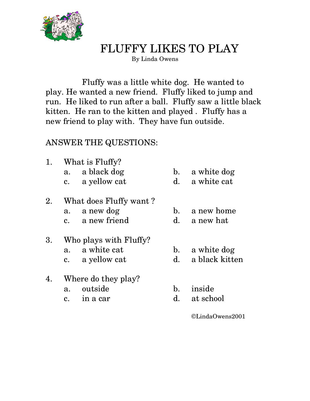 Fluffy Likes To Play