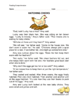 Hatching Chicks