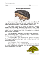 Hedgehog Surprise