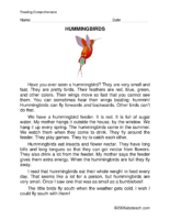 Hummingbirds