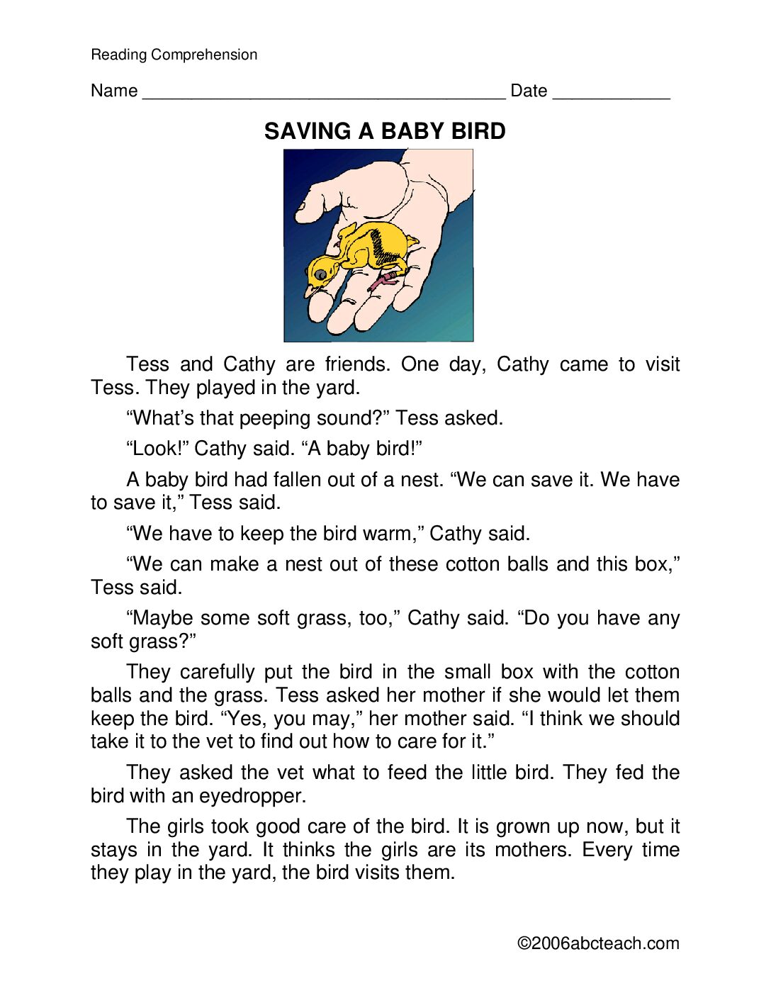 Saving A Baby Bird